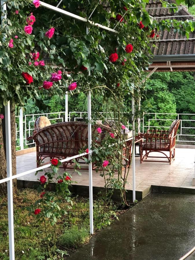 Villa Elita - Bela Crkva Bela Crkva  Buitenkant foto
