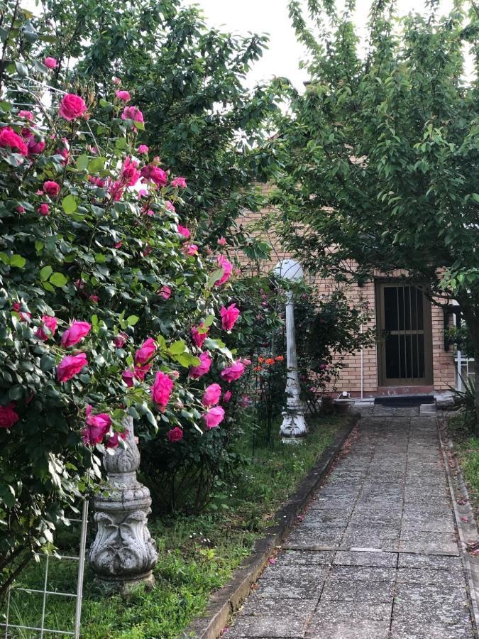 Villa Elita - Bela Crkva Bela Crkva  Buitenkant foto