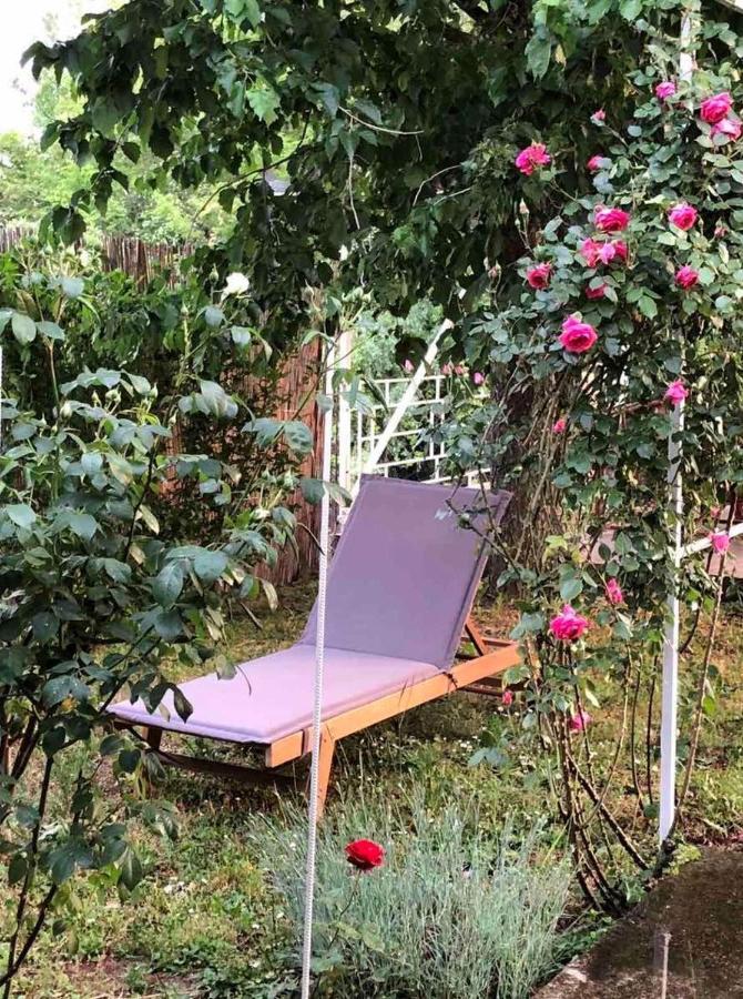 Villa Elita - Bela Crkva Bela Crkva  Buitenkant foto