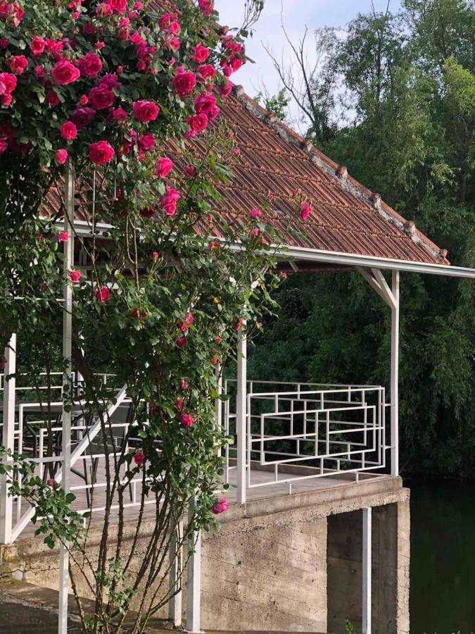Villa Elita - Bela Crkva Bela Crkva  Buitenkant foto